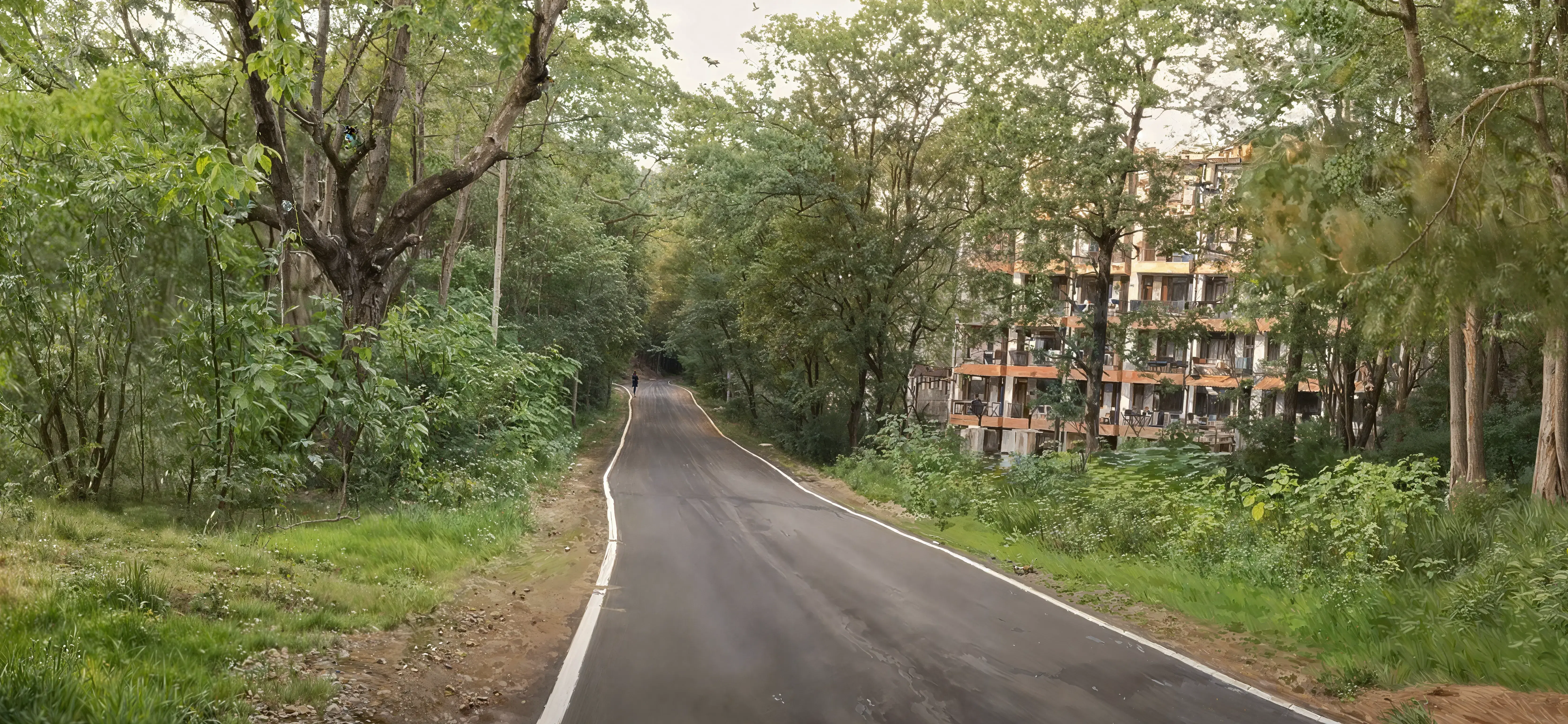 NIT Hamirpur Campus photo 9